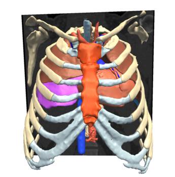 OpenAnatomy Dental Atlas, how to troubleshoot OpenAnatomy Dental Atlas, secure repositories with encryption for dental data